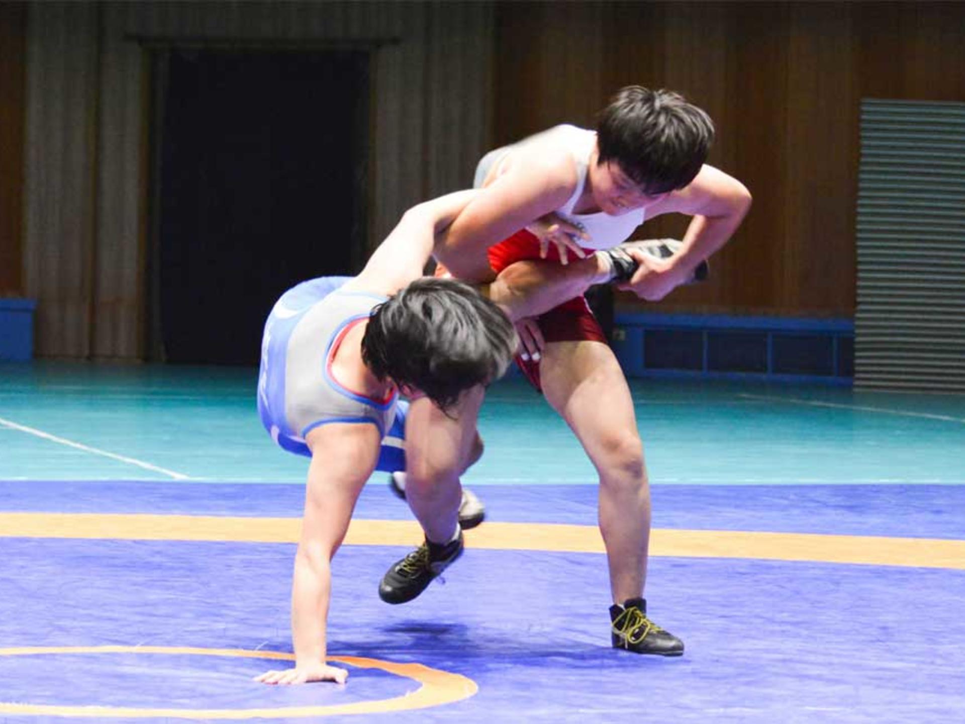 /article/dpr-korea-organizes-women-wrestling-tournament-wrestling-day.Click to read full article.