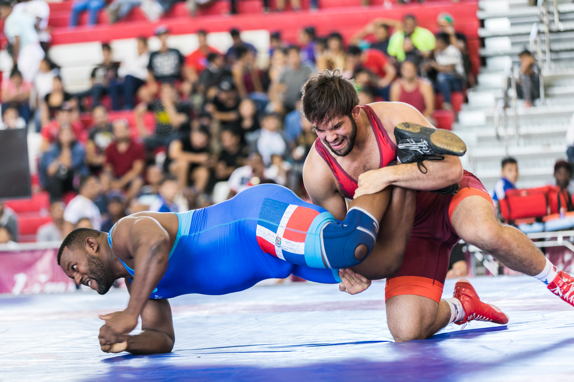 /article/cuba-and-usa-sweep-freestyle-gold-medals-lima.Click to read full article.