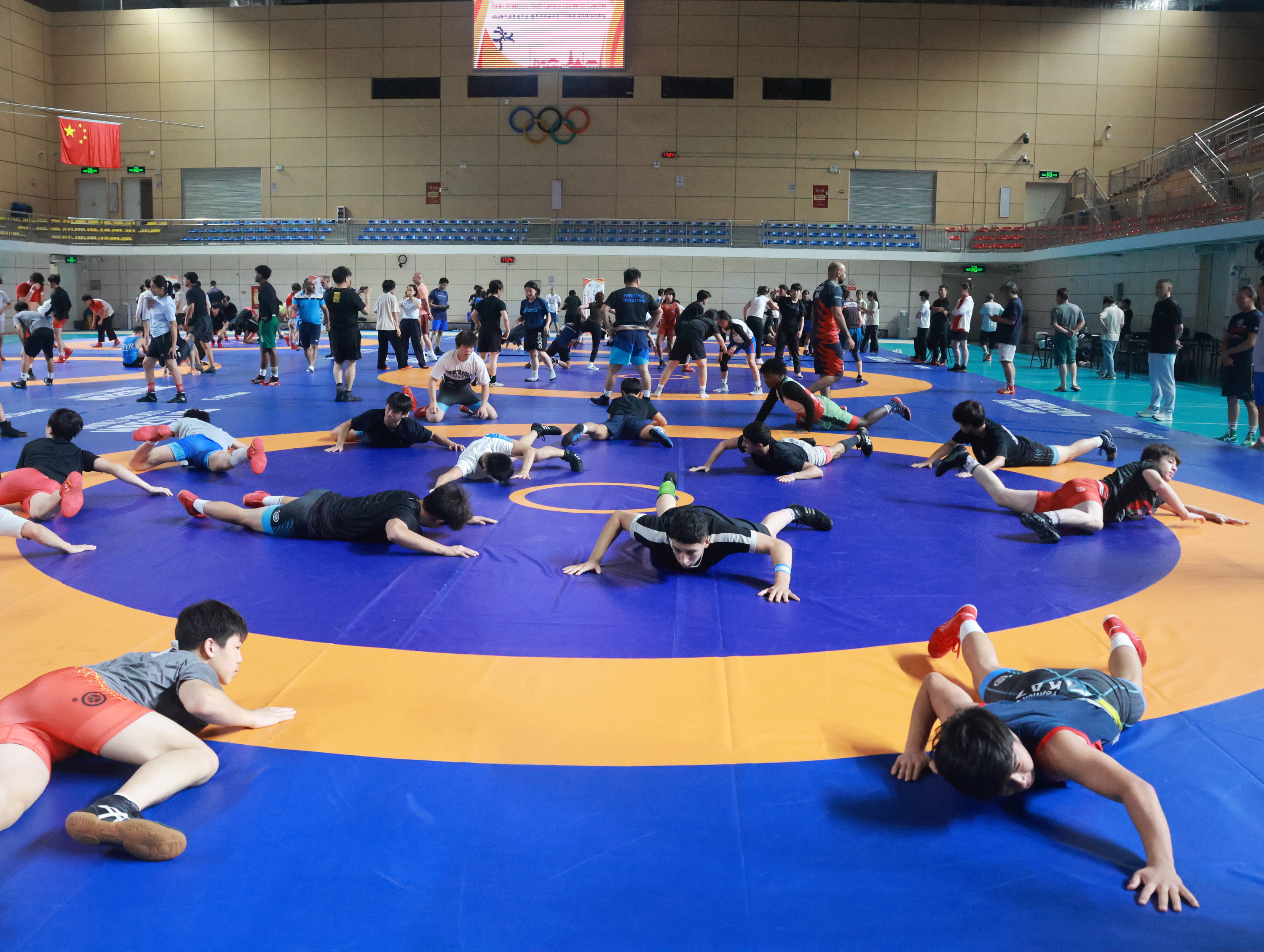 Wrestling UWW