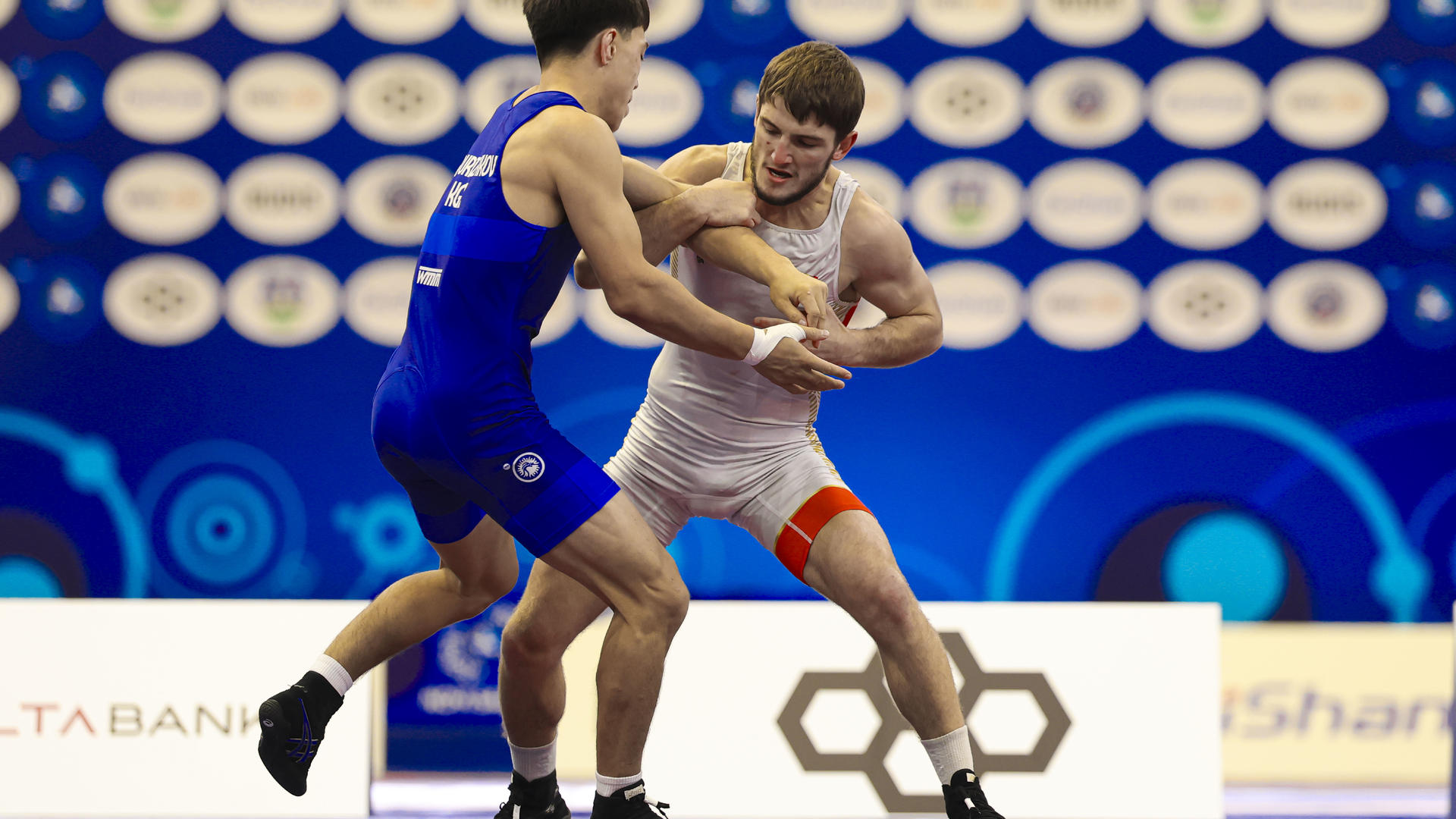 United World Wrestling News united-world-wrestling-news