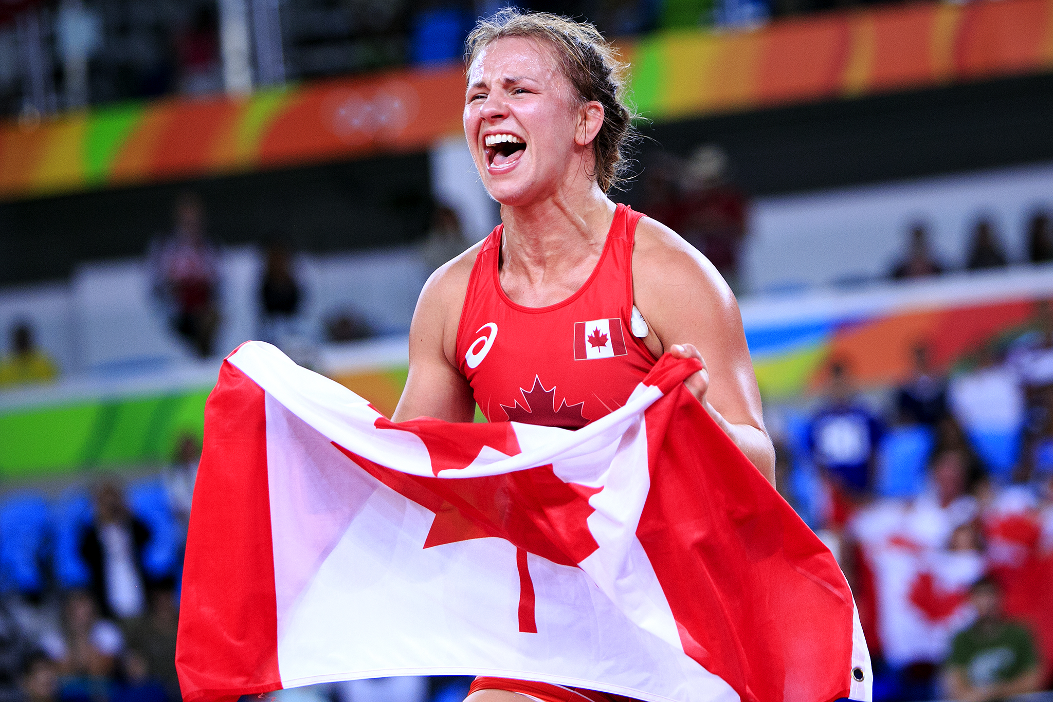 /article/adar-gray-and-wiebe-set-collide-klippan.Click to read full article.