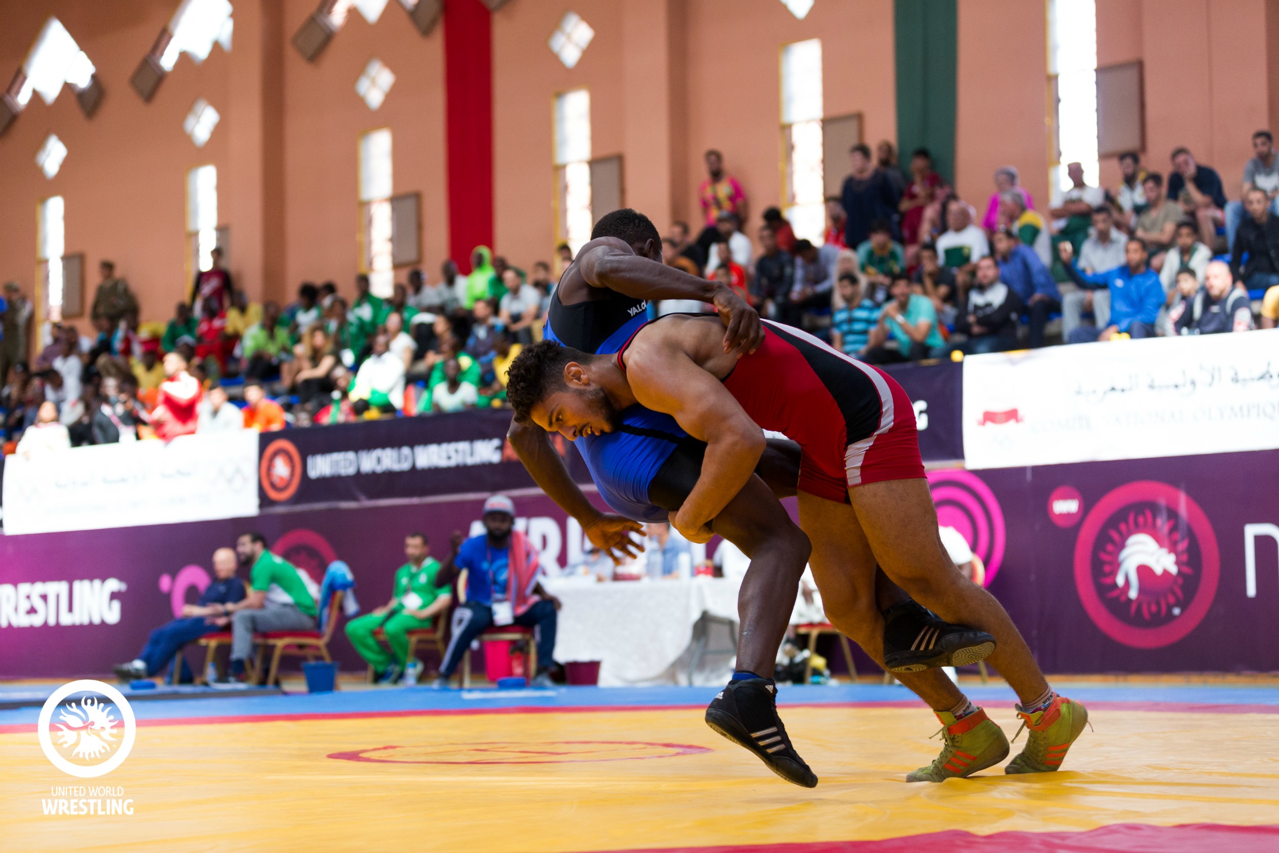 /article/egypt-bags-3-freestyle-gold-medals-african-championships.Click to read full article.