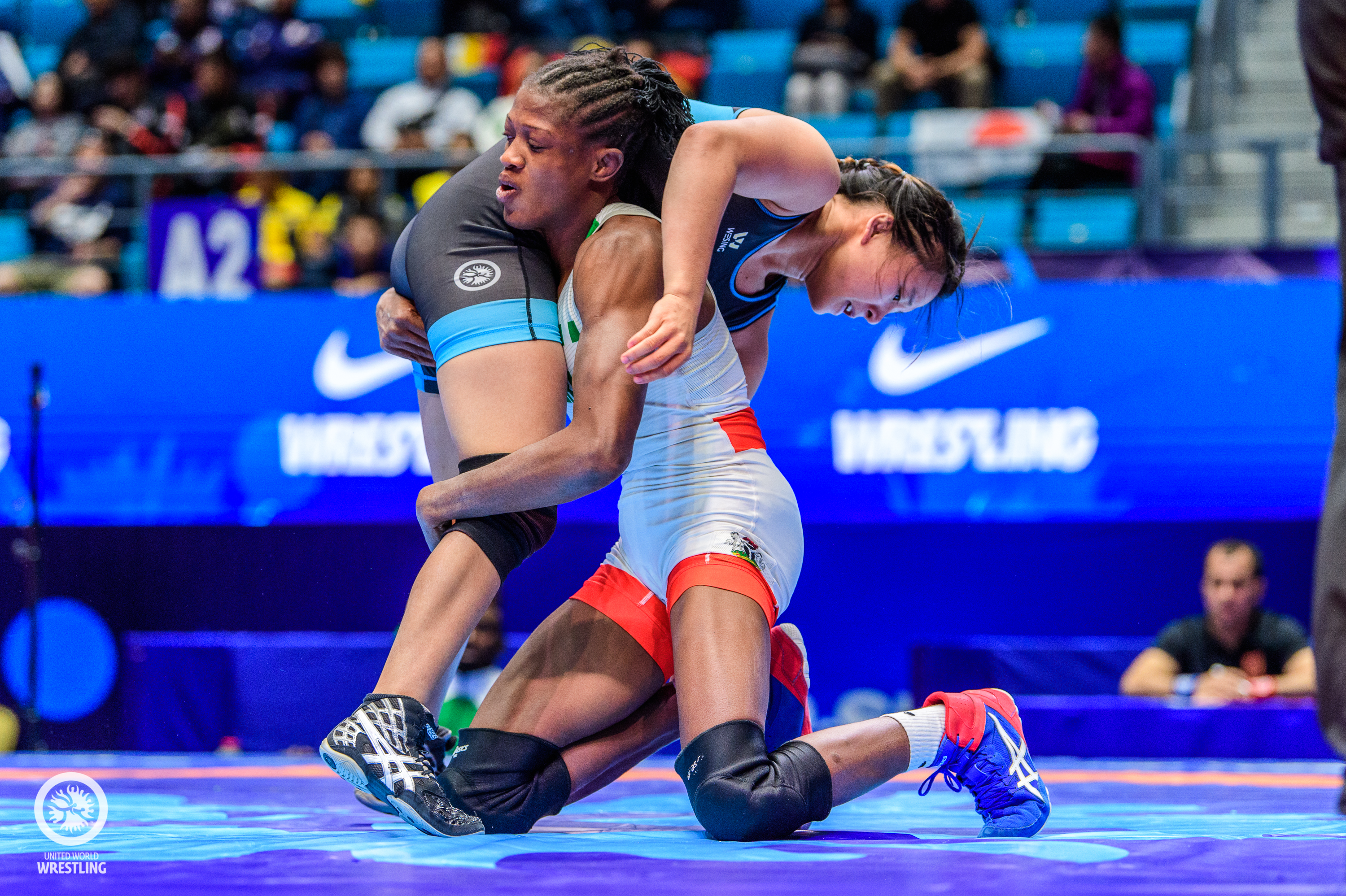 /article/african-championship-preview.Click to read full article.