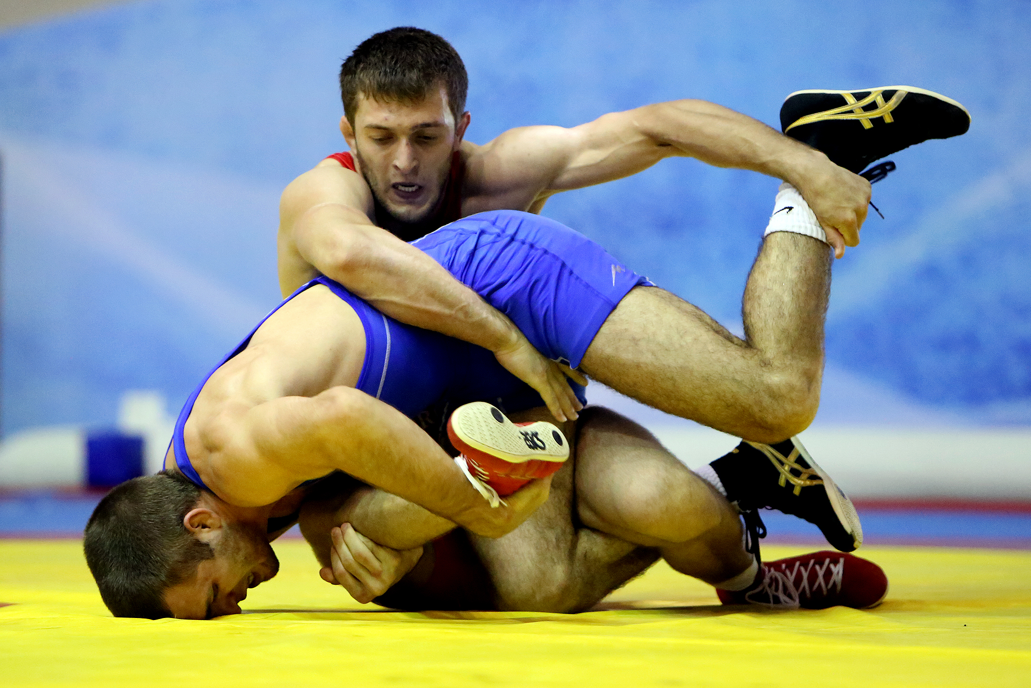 /article/susceptible-russian-side-leaves-door-open-usa-cuba-and-mongolia.Click to read full article.